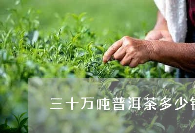 三十万吨普洱茶多少钱/2023112766148