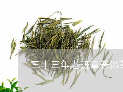 三十三年老班章普洱茶/2023061639371