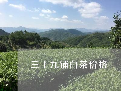 三十九铺白茶价格/2023061515049