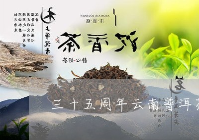 三十五周年云南普洱茶/2023062791057