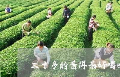 三十多的普洱茶好喝吗/2023092894046