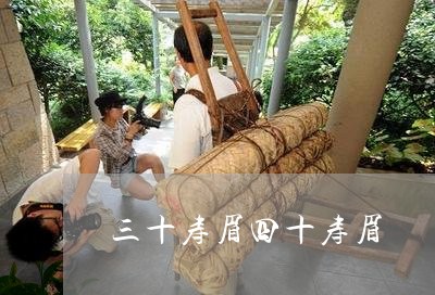 三十寿眉四十寿眉/2023091327150