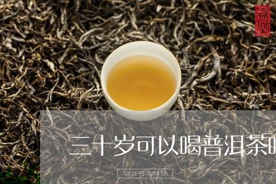 三十岁可以喝普洱茶吗/2023072306078