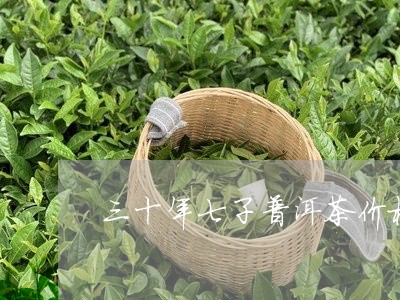 三十年七子普洱茶价格/2023093037148