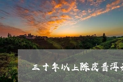 三十年以上陈皮普洱茶/2023093025050