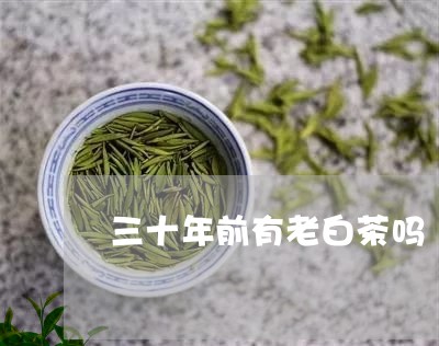 三十年前有老白茶吗/2023121617694