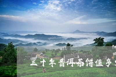 三十年普洱茶饼值多少/2023092708392