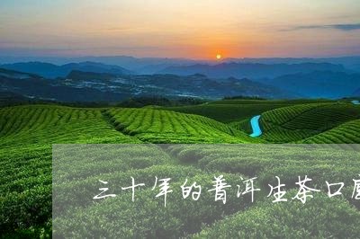 三十年的普洱生茶口感/2023092525027