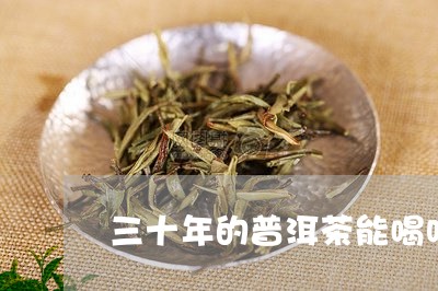 三十年的普洱茶能喝吗有点苦/2023052897160