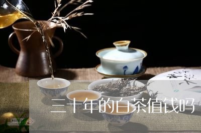 三十年的白茶值钱吗/2023121640694