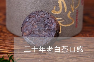 三十年老白茶口感/2023061518451