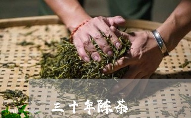 三十年陈茶/2023090246304