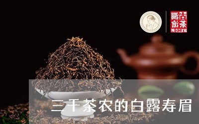 三千茶农的白露寿眉/2023120400494