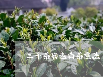 三千茶农老白茶煮法/2023121557706