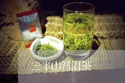 三半山普洱茶/2023042842815