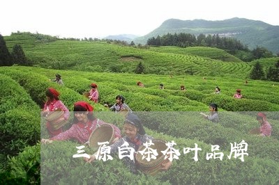 三原白茶茶叶品牌/2023061503858