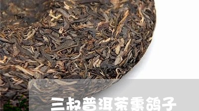 三叔普洱茶熏鸽子/2023112609151