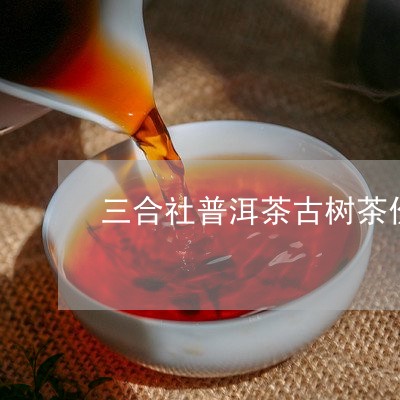 三合社普洱茶古树茶价格/2023120784836