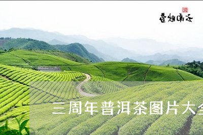 三周年普洱茶图片大全/2023072331935