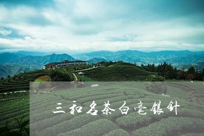 三和名茶白毫银针/2023061532717