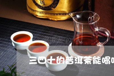 三四十的普洱茶能喝吗/2023110528351