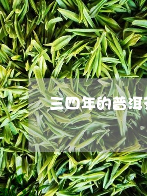 三四年的普洱茶是熟茶/2023062102814