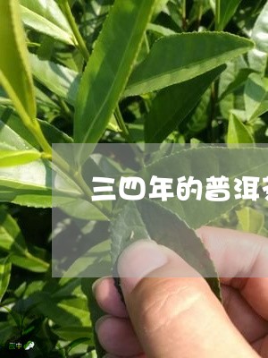 三四年的普洱茶能喝不/2023072246170