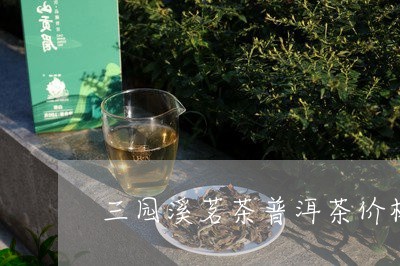 三园溪茗茶普洱茶价格表/2023110585269