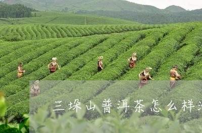 三垛山普洱茶怎么样泡好/2023050484939