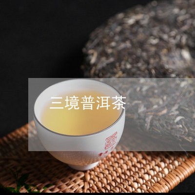 三境普洱茶/2023090640703