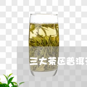 三大茶区普洱茶的口感/2023062357373