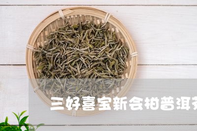 三好喜宝新会柑普洱茶/2023061527260