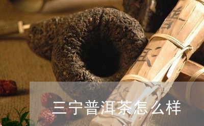 三宁普洱茶怎么样/2023110366938