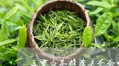 三宝白茶推荐送爸爸喝嘛/2023082593725