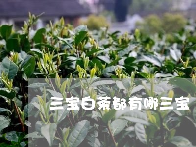 三宝白茶都有哪三宝/2023121584047