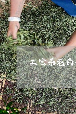 三宝茶老白茶怎么泡/2023071487161