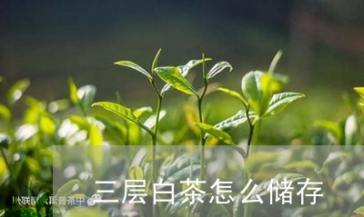 三层白茶怎么储存/2023061526492