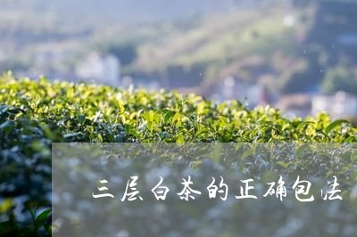 三层白茶的正确包法/2023071402825