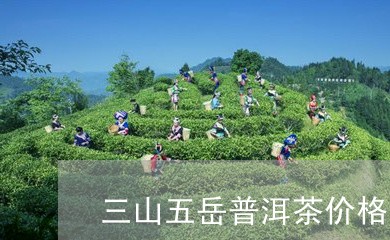 三山五岳普洱茶价格表和图片/2023052838381