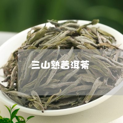 三山熟普洱茶/2023090602625