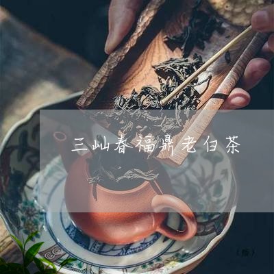 三屾春福鼎老白茶/2023112664147