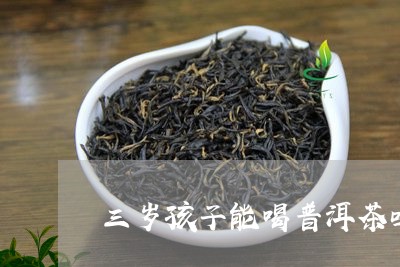 三岁孩子能喝普洱茶吗/2023092612806