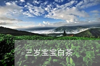 三岁宝宝白茶/2023051281805