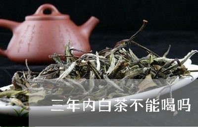 三年内白茶不能喝吗/2023121539726