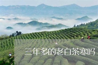 三年多的老白茶寒吗/2023121525048