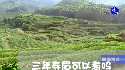 三年寿眉可以煮吗/2023061584848