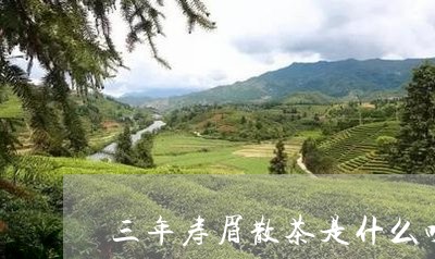 三年寿眉散茶是什么味道/2023092430472