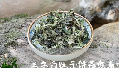 三年白牡丹饼茶煮着喝/2023120968494