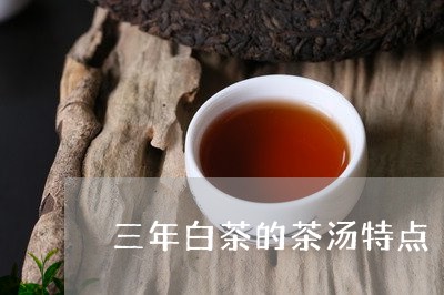 三年白茶的茶汤特点/2023121515159