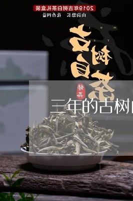 三年的古树白茶饼/2023061530814